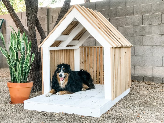 Bench potting 2x4