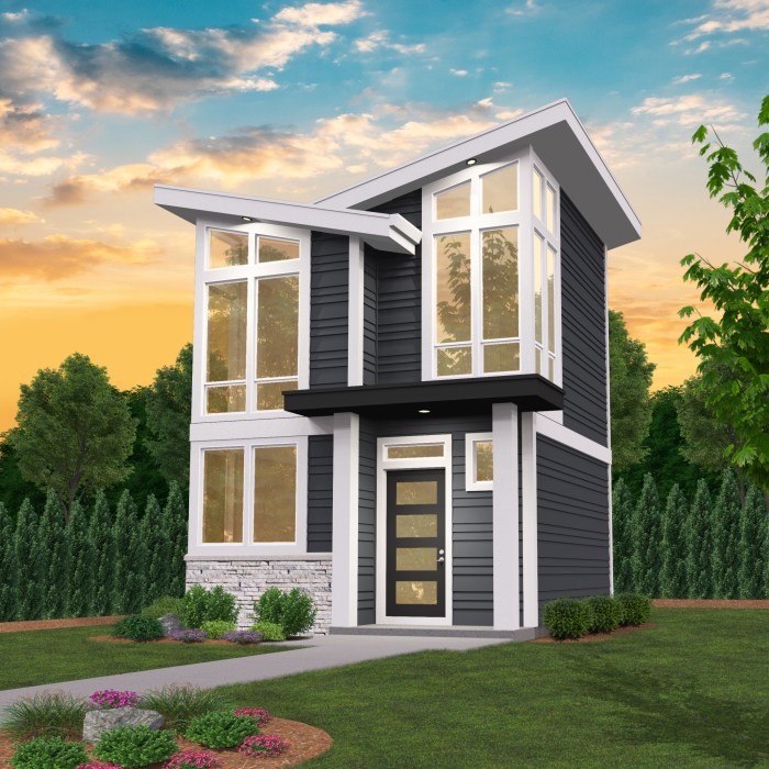 Small contemporary house design