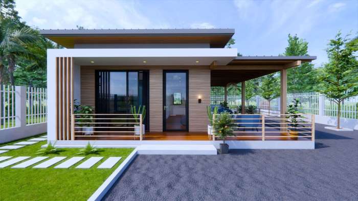 Small contemporary house design